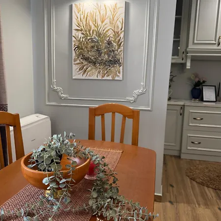 Gega Apartment's 1 Daire Kamez